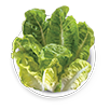 romaine-lettuce